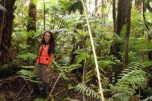 Mauna Loa reforestation after feral pig removal